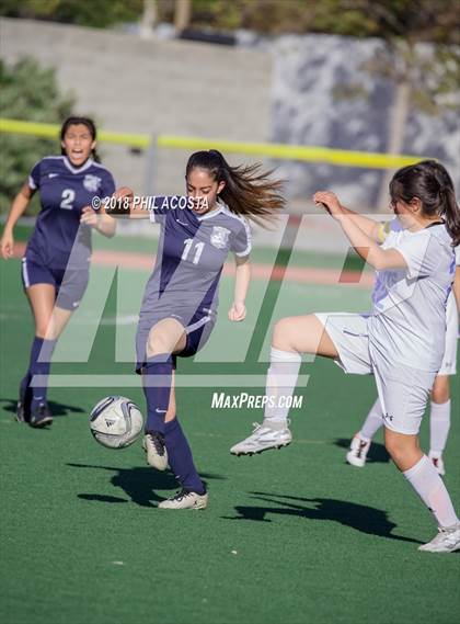 Thumbnail 2 in Stern vs Animo Watts photogallery.
