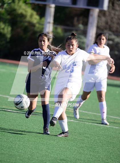 Thumbnail 1 in Stern vs Animo Watts photogallery.