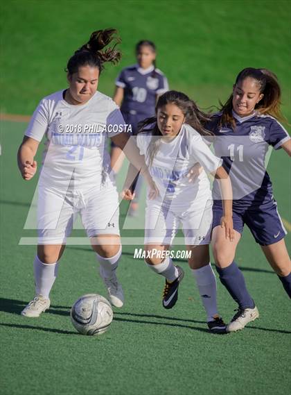 Thumbnail 3 in Stern vs Animo Watts photogallery.