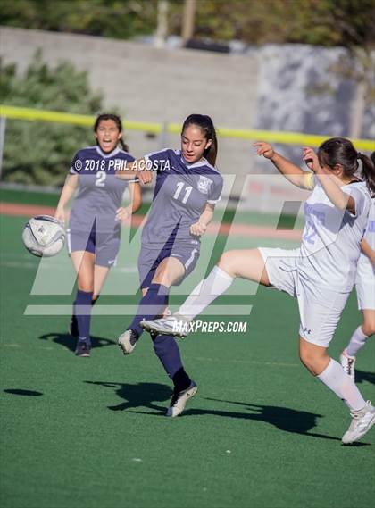 Thumbnail 3 in Stern vs Animo Watts photogallery.