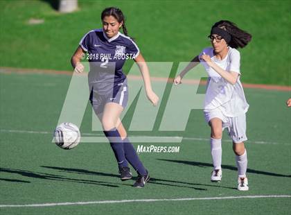 Thumbnail 3 in Stern vs Animo Watts photogallery.