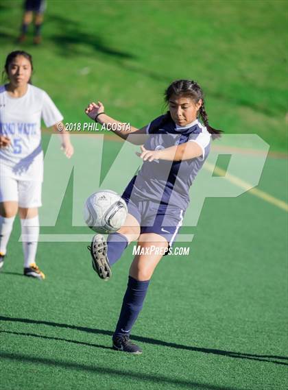 Thumbnail 2 in Stern vs Animo Watts photogallery.