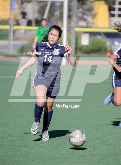 Thumbnail 1 in Stern vs Animo Watts photogallery.