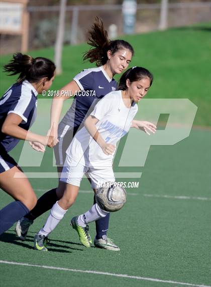 Thumbnail 3 in Stern vs Animo Watts photogallery.