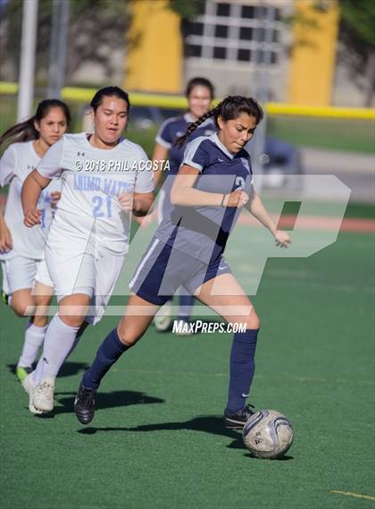 Thumbnail 2 in Stern vs Animo Watts photogallery.