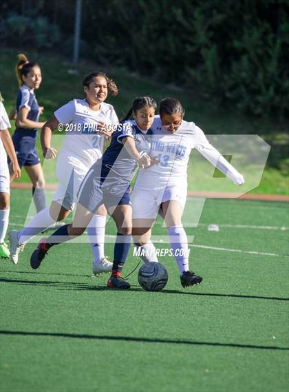 Thumbnail 3 in Stern vs Animo Watts photogallery.