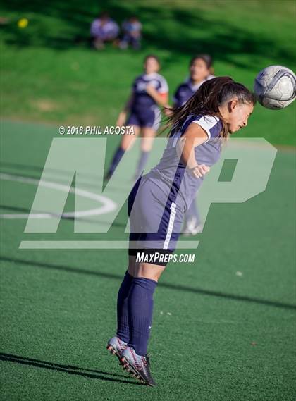 Thumbnail 2 in Stern vs Animo Watts photogallery.