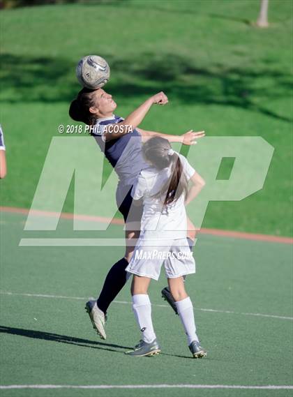 Thumbnail 3 in Stern vs Animo Watts photogallery.