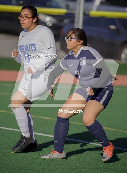Thumbnail 2 in Stern vs Animo Watts photogallery.
