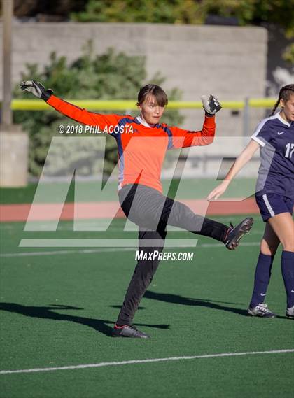 Thumbnail 1 in Stern vs Animo Watts photogallery.
