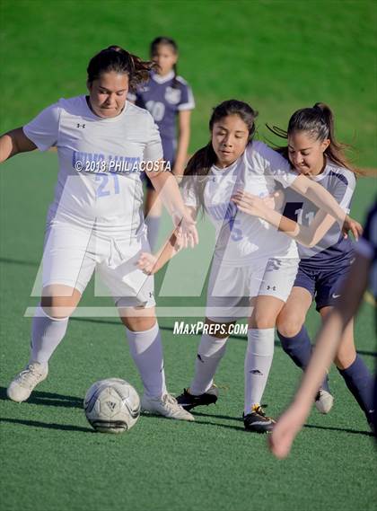 Thumbnail 2 in Stern vs Animo Watts photogallery.