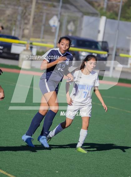 Thumbnail 1 in Stern vs Animo Watts photogallery.