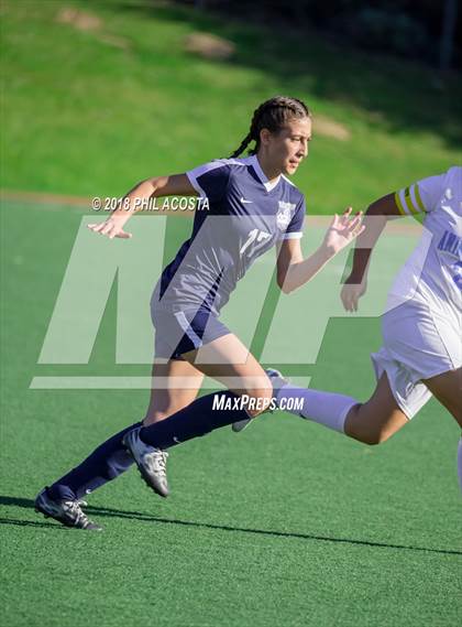 Thumbnail 1 in Stern vs Animo Watts photogallery.