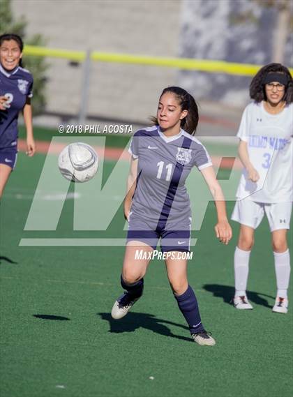 Thumbnail 2 in Stern vs Animo Watts photogallery.