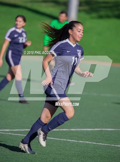 Thumbnail 3 in Stern vs Animo Watts photogallery.