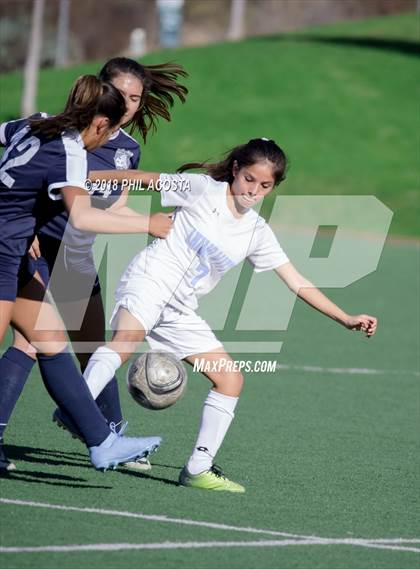 Thumbnail 2 in Stern vs Animo Watts photogallery.