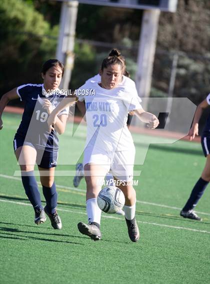Thumbnail 1 in Stern vs Animo Watts photogallery.
