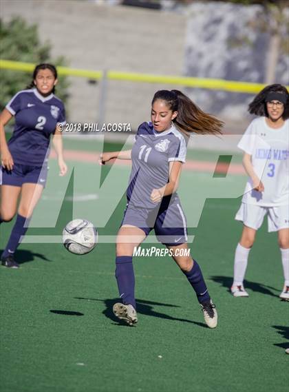 Thumbnail 1 in Stern vs Animo Watts photogallery.