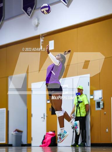 null - Photo 61