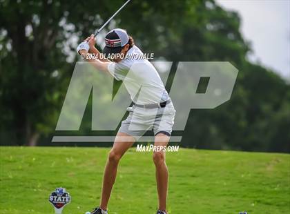Thumbnail 1 in UIL 2A Golf Finals photogallery.