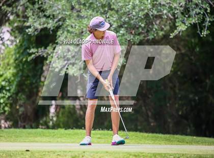 Thumbnail 1 in UIL 2A Golf Finals photogallery.