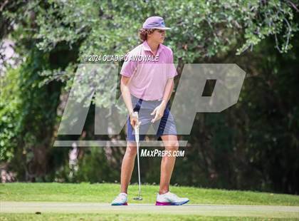 Thumbnail 2 in UIL 2A Golf Finals photogallery.