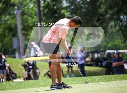Thumbnail 1 in UIL 2A Golf Finals photogallery.