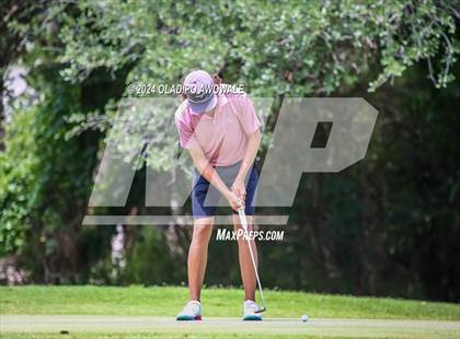 Thumbnail 2 in UIL 2A Golf Finals photogallery.