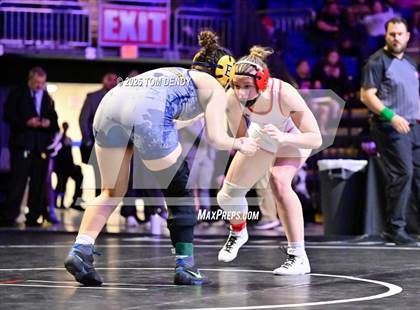 Thumbnail 2 in UIL Wrestling 6A Finals (138 lb - 235 lb) photogallery.