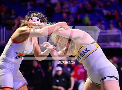 Thumbnail 2 in UIL Wrestling 6A Finals (138 lb - 235 lb) photogallery.