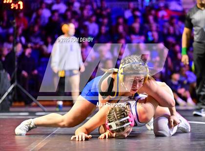 Thumbnail 2 in UIL Wrestling 6A Finals (138 lb - 235 lb) photogallery.