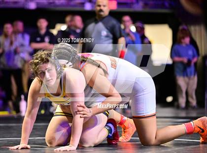 Thumbnail 3 in UIL Wrestling 6A Finals (138 lb - 235 lb) photogallery.