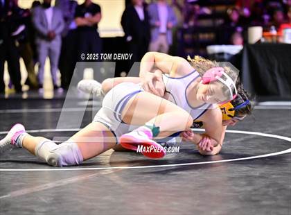 Thumbnail 1 in UIL Wrestling 6A Finals (138 lb - 235 lb) photogallery.