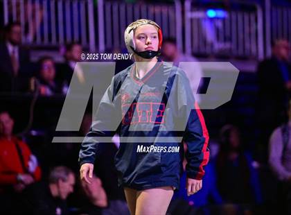 Thumbnail 1 in UIL Wrestling 6A Finals (138 lb - 235 lb) photogallery.