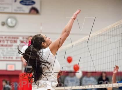 Thumbnail 3 in Warwick Veterans @ Cranston West photogallery.