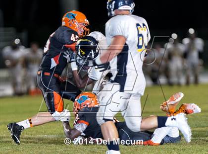 Thumbnail 1 in Steinbrenner @ Plant City photogallery.