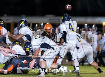 Thumbnail 1 in Steinbrenner @ Plant City photogallery.