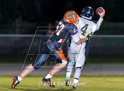 Thumbnail 2 in Steinbrenner @ Plant City photogallery.