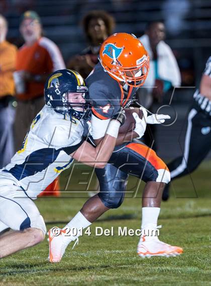 Thumbnail 3 in Steinbrenner @ Plant City photogallery.