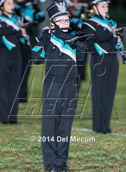 Thumbnail 1 in Steinbrenner @ Plant City photogallery.