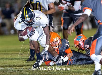 Thumbnail 3 in Steinbrenner @ Plant City photogallery.