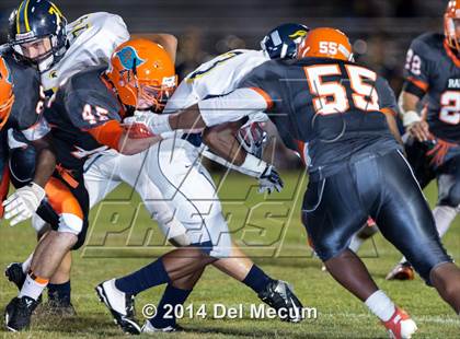 Thumbnail 1 in Steinbrenner @ Plant City photogallery.