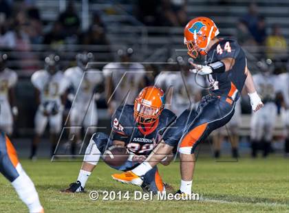 Thumbnail 1 in Steinbrenner @ Plant City photogallery.