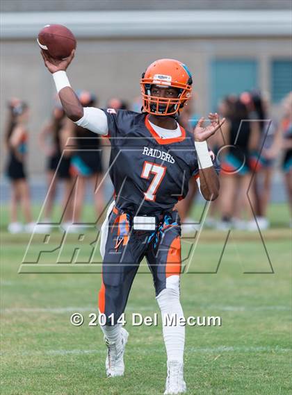 Thumbnail 1 in Steinbrenner @ Plant City photogallery.