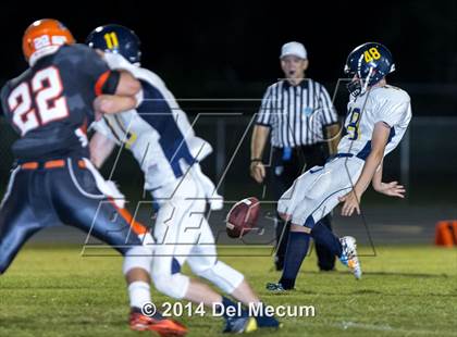 Thumbnail 2 in Steinbrenner @ Plant City photogallery.