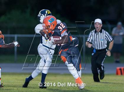 Thumbnail 3 in Steinbrenner @ Plant City photogallery.