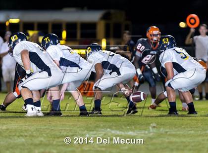 Thumbnail 3 in Steinbrenner @ Plant City photogallery.