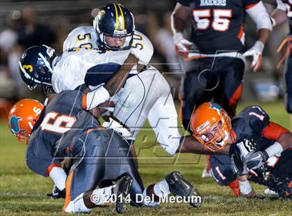 Thumbnail 1 in Steinbrenner @ Plant City photogallery.