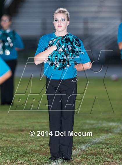Thumbnail 3 in Steinbrenner @ Plant City photogallery.