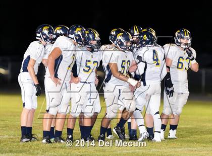Thumbnail 2 in Steinbrenner @ Plant City photogallery.